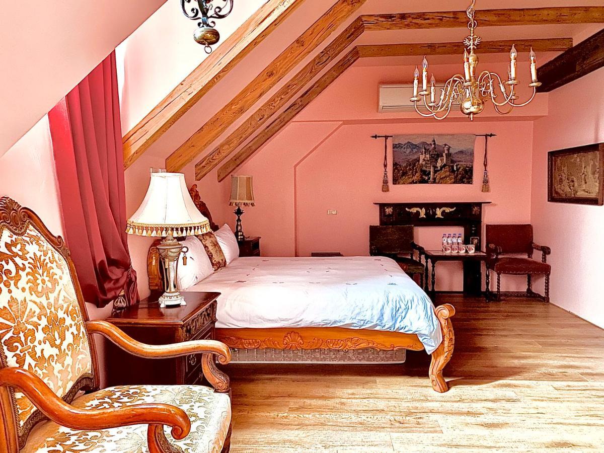 法國小古堡- 包棟-Chateau De France Вужие Екстериор снимка
